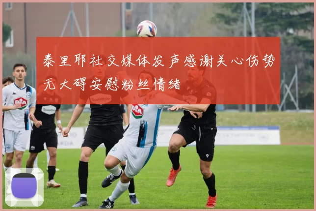 泰里耶社交媒体发声感谢关心伤势无大碍安慰粉丝情绪